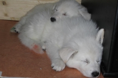20051221155048