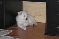 20051231132728