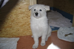 20051231132752