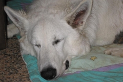 2002-07-13 Hasloch 096