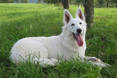 2002-08-26 Hochdorf 074