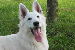 2002-08-26 Hochdorf 078