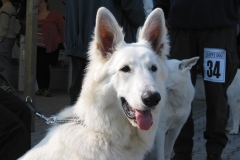 2002-09-07 Kirchroth 033