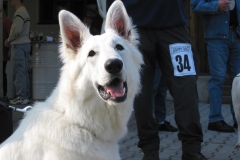 2002-09-07 Kirchroth 036