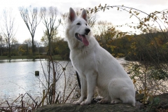 2002-11-03 Max-Eyth-See 005