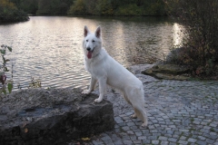 2002-11-03 Max-Eyth-See 012