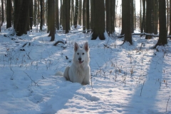 2003-02-01 Hochdorf 012