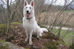 2003-04-20 Feuerschwendt Ostern 017