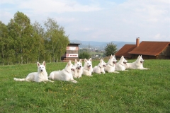 2003-10-03 Goldbach 063