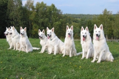 2003-10-03 Goldbach 067