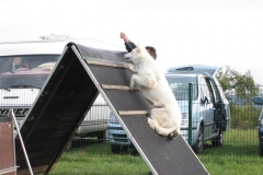 2003-10-03 Goldbach 081