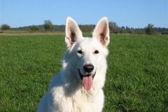 2003-10-15 Uhingen 006