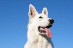 2003-10-15 Uhingen 053