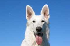 2003-10-15 Uhingen 055