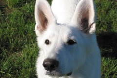 2003-10-15 Uhingen 060