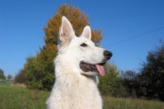 2003-10-18 Uhingen 011