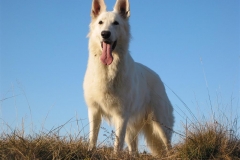 2003-10-26 Schw. Alb 011