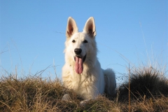 2003-10-26 Schw. Alb 012