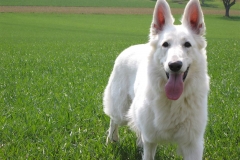 2004-04-12 Eberdingen 013