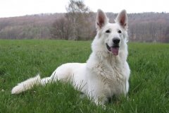 2004-04-12 Eberdingen 022