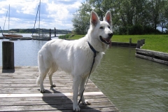 2004-05-20 Feuerschwendt 118