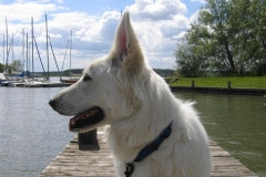 2004-05-20 Feuerschwendt 119