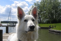 2004-05-20 Feuerschwendt 120