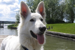 2004-05-20 Feuerschwendt 121