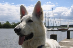 2004-05-20 Feuerschwendt 122