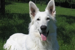 2004-05-24 Angel 009