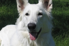 2004-05-24 Angel 012