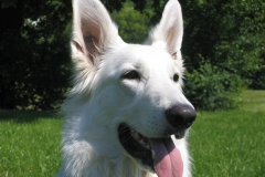 2004-05-24 Angel 020