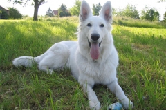 2004-05-30 Angel 001