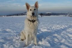 20081215150732