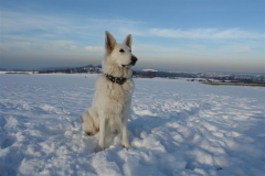20081215150746