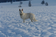 20081215152122