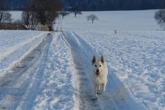 20081215152534