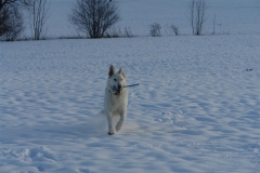 20081215153004