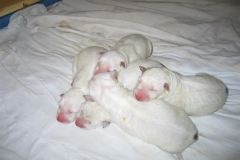 20060303122648