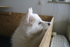 20060426122936