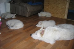 20060427100546