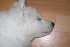 20060427100740