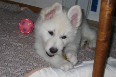 20060427164550