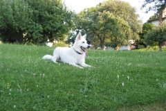 100-0094_IMG
