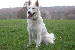 2004-04-12 Eberdingen 028