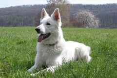2004-04-12 Eberdingen 035