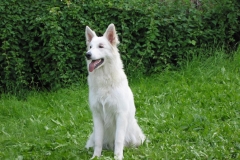 2002-06-30 Im Garten 010