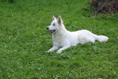 2002-06-30 Im Garten 028