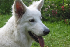 2002-06-30 Im Garten 034