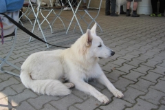 2002-09-07 Kirchroth 047